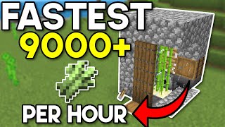 FASTEST Easiest Sugarcane Farm Minecraft Bedrock 121 [upl. by Nerek]