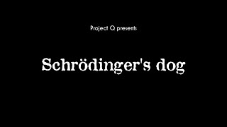 Schrödingers Dog [upl. by Oirramed836]