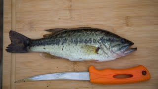 Largemouth BASS Catch and Cook [upl. by Hoag]