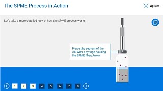 Introduction to Solid Phase Microextraction SPME for GC or LC Instrument [upl. by Ladin]