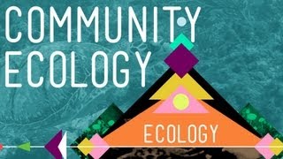 Community Ecology Feel the Love  Crash Course Ecology 4 [upl. by Rania32]