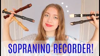 Getting started on sopranino recorder  Team Recorder [upl. by Urbanna]