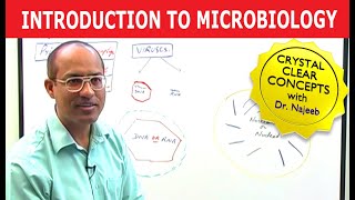 Introduction to Microbiology [upl. by Cini550]