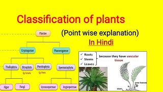 Classification of plants in Hindi  Cryptogam and Phanerogam plantclassification [upl. by Adnohsad]