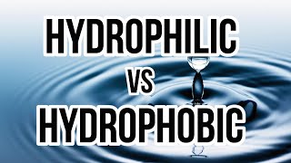 Hydrophilic vs Hydrophobic [upl. by Anaidiriv]