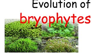 Plant evolution  bryophytes evolution [upl. by Barnie]