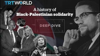 Deep Dive A history of BlackPalestinian solidarity [upl. by Starbuck]