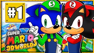 Sonic amp Shadow Play Super Mario 3D World PART 1  FURRY MARIO [upl. by Eyk]