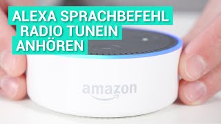 Amazon Echo Alexa  Radio auf TuneIn anhören [upl. by Anthony]