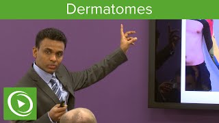 Dermatomes Overview – MRCS  Lecturio [upl. by Yesak200]