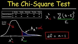 Chi Square Test [upl. by Rosdniw]