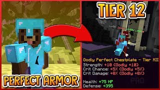 HYPIXEL SKYBLOCK  FULL PERFECT ARMOR TIER 12 INSANE [upl. by Elihu817]