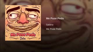 sabino  me puse pedo audio HD [upl. by Strohbehn30]