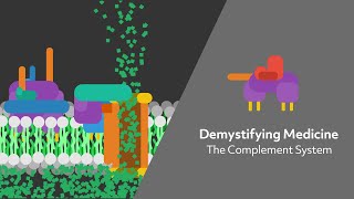 The Complement System [upl. by Bal]