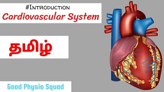 Physiology  Introduction to the Cardiovascular System in Tamil Lecture [upl. by Suiravat]