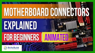 Motherboard Connectors Explained for Beginners [upl. by Mohn810]