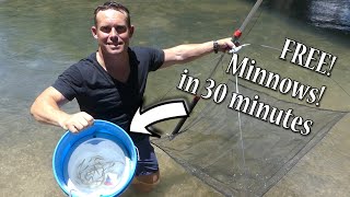 Easy Way to Catch Minnows Free Best Way Fast Minnow Trapping  How to Use Umbrella Net [upl. by Mungovan]