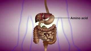 Detection of Urea in Urine  MeitY OLabs [upl. by Witty]