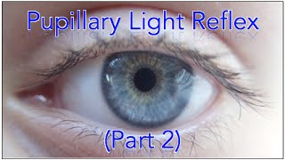 Pupillary light reflex pathway  Part 2 Including Sample Questions [upl. by Aytak]