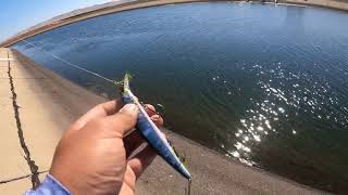 How to fish the ca aqueduct Tips on where and how to fish [upl. by Ssur]