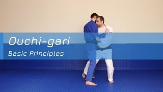 Ouchigari  Basic principles [upl. by Aynosal721]