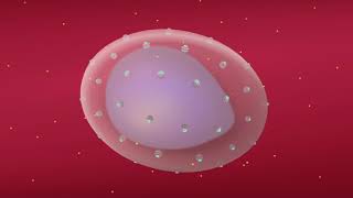 Understanding How Malaria Parasites Take Over Human Red Blood Cells [upl. by Elgar795]