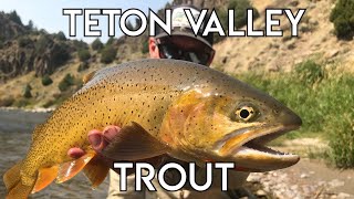 Teton Valley Trout  Ultimate Idaho Fly Fishing [upl. by Sirehc]