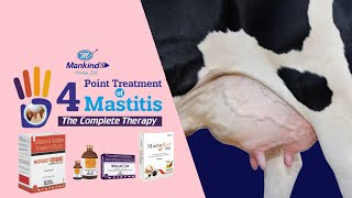 Mastitis Treatment In Cattle [upl. by Karna759]