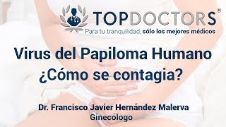 Virus del Papiloma Humano ¿Qué es y cómo se contagia [upl. by Atelokin]