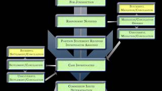 Understanding the Complaint Process [upl. by Eugenio815]