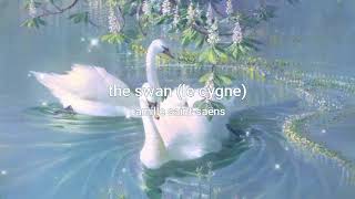 saintsaëns  the swan pitched down  slowed  reverb 1 hr version [upl. by Dania625]