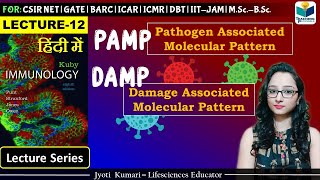 Immunology PAMPs and DAMPs  Lecture12 [upl. by Dworman584]