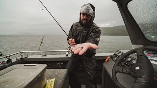 How to Fish Drop Shot Rigs for Walleye [upl. by Aimik]