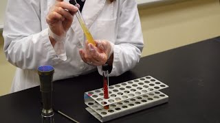 How to Inoculate a Slant  MCCC Microbiology [upl. by Nanoc213]