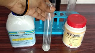 METAL CARBONATES AND METAL HYDROGEN CARBONATES REACTION WITH ACID [upl. by Dlorrej]