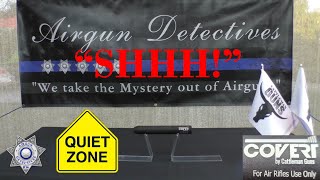 Covert quotAirgunquot Moderator by Cattleman Guns quotFull Reviewquot by Airgun Detectives [upl. by Eerahc810]