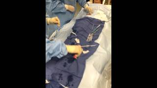 Sheath and catheter insertion demo [upl. by Vivyan944]