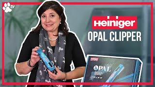 Heiniger Opal  Cordless Battery Clipper for Grooming  TRANSGROOM [upl. by Phillip85]