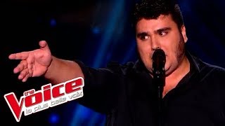 Jacques Brel  Ces gens là  Yoann Launay  The Voice France 2015  Blind Audition [upl. by Lafleur]