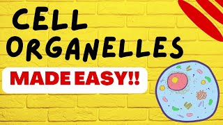 Cell Biology Cell Organelles explained in 5 minutes [upl. by Nostets]