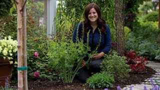 Planting Baptisia amp a Tour of the Cottage Garden 😍🌿 Garden Answer [upl. by Anneis367]