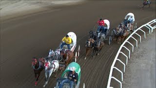 1 horse dead in Calgary Stampede chuckwagon race [upl. by Attelliw]