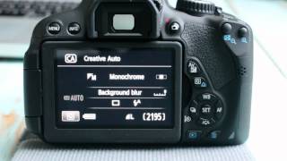 Canon T4i650D Guide to the Basic Modes on the Dial [upl. by Kciwdahc895]