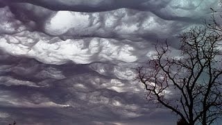 Undulatus asperatus Асператусы в небе [upl. by Trocki]