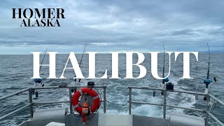 Halibut Fishing  Homer Alaska [upl. by Onitnerolf]