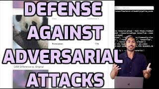 Defense Against Adversarial Attacks [upl. by Nnylrats296]