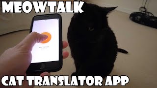 Meow Talk Cat Translator App [upl. by Filbert]