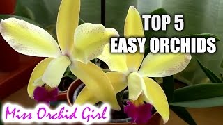 Top 5 orchids for beginners [upl. by Asirak712]