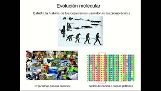 Introducción a la filogenética [upl. by Jaquiss]