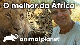 As aventuras de Frank pela África  Wild Frank Perdido Na África  Animal Planet Brasil [upl. by Sanborne]